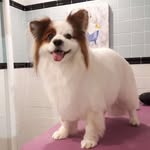 Oliver Norman Tripp - @sir_ollie_pants - Instagram