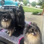 Pearl 🩷 Oliver 🩵 Tripp 💚 - @pearl_oliver_tripp - Instagram