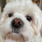 Oliver - @1oliver_francis_tuttle - Instagram