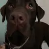 olivertuttle4life557 - @olivertuttle4life557 - TikTok