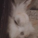 Oliver - @_oliver.vidal - Instagram