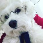 Oliver Vidal Queen - @oliver_v.queen - Instagram