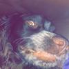 Heyy - @oliver_vincent - TikTok