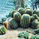 oliver vincent_ - @oliver_vincent__ - Instagram