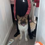Oliver Wallace - Facebook