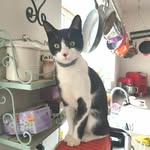 Oliver Wallace - @oliver_wallace_ - Instagram