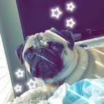 Oliver Wallace {ollie wallie} - @_oliver_wallace_ - Instagram