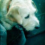 Oliver Walter Douglas, Esq. - Facebook