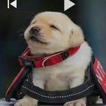 oliver - @oliver_walters_ - Instagram