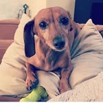 Oliver Walters - @ollie_wal - Instagram