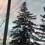 oliver warner - @oliver.duhhhh - Instagram