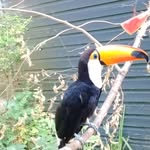 oliver watts - @oliverj_watts - Instagram