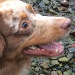 Oliver Webster - @oliver.danger08 - Instagram