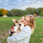 Diana Larionova - @oliver__welsh_corgi_pembroke - Instagram