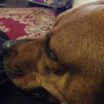 Oliver Whitehead - @o.whitehead - Instagram