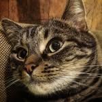 Oliver Wick - @wickoliver - Instagram