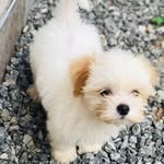 OLIVER_WICK - @oli.verwick - Instagram