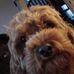 Oliver Wickham - Facebook