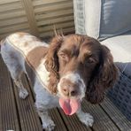 Oliver Wilkinson - Facebook