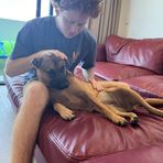 Oliver Wilkinson - Facebook