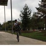 Oliver Wise - @bl.ollie__ - Instagram