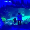 Oliver Wolfe268 - @oliverwolfe0 - TikTok