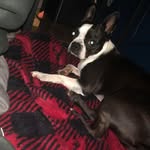 Oliver Wolfe - @oliverwolfe71 - Instagram