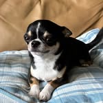 Oliver - @oliver_woowoo - Instagram