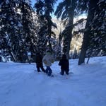 Oliver Wood - @oliverwood079 - Instagram