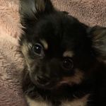 Oliver.wright_54 - @oliver.wright_54 - Instagram