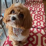 Oliver Yates - @oliver_yates_team_yates - Instagram