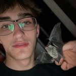 Oliver Yeo - @_oli_yeo78 - Instagram