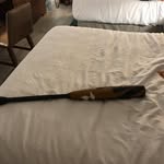 Oliver quinn yoder - @yoderoliverquinn - Instagram