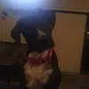Olivia Akers - @oliviaakers6 - TikTok