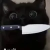 liv - @oliviatalbert - TikTok