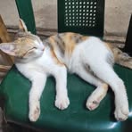 Olivia Alonzo - Facebook