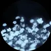 olivia - @olivializer - TikTok