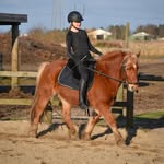 •𝐎𝐥𝐢𝐯𝐢𝐚 𝐀𝐧𝐝𝐞𝐫𝐬𝐞𝐧• - @olivia_andersen.equestrian - Instagram