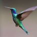 Olivia Arrieta - Facebook