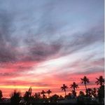 Olivia Ayers - @niche.winds - Instagram