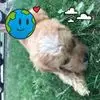 Olivia Babas - @olivia.babas - TikTok