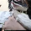 Olivia Barajas - @oliviabarajas06 - TikTok