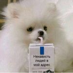 Вымышленный персонаж - @olivia___bates - Instagram
