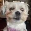 Liv - @.oliviabates - TikTok