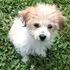 Olivia Radabaugh - @olivia.radabaugh - TikTok