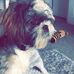 Olivia Baum - Facebook