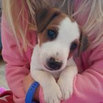 Olivia Bedford and Ralphy Roo - @king_ralphy_roo - Instagram