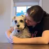 Olivia Benoit - @olivia__benoit____ - TikTok