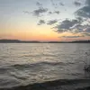 olivia - @olivia..bergstrom - TikTok