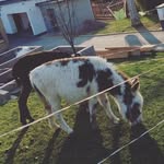 Livia Binder - @livia.binder1105 - Instagram